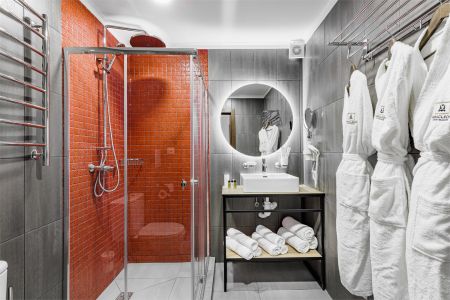 Standard + (7 корпус)